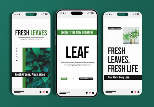 Botanical Nature Green Leaves Story Template Set