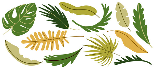 Vector set of tropical green leaves isolated on white background. Collection of monstera, palm and jungle leaves for botanical summer design and exotic decor. © Peviotadesign