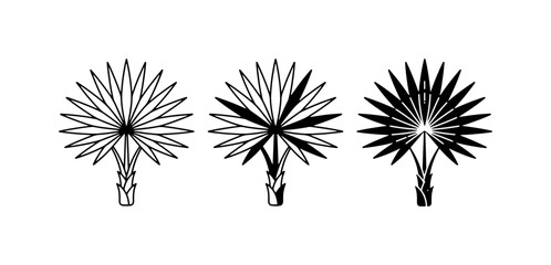 Palm Tree Icons, Tropical Leaf Silhouettes, Vector Set for Summer and Travel Graphics © Golam