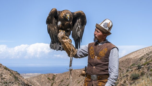 Traditional Kyrgyz eagle hunter with eagle in the mountains, hunting, eagle spreads its wings, near Bokonbayevo, Issyk Kul region, Kyrgyzstan