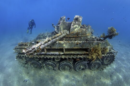 Diver, American tank M42 Duster with self-rotating 40mm anti-aircraft gun, wreck, Red Sea, Aqaba, Kingdom of Jordan