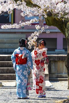 Japanese women with kimono at pagoda Amidado, Chion-in temple, Kyoto, Japan