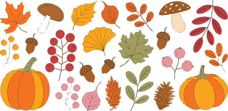 Autumn leaves and pumpkins vector illustration with pumpkins, illustration