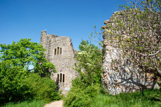 Burg Badenweiler, Margr&auml;flerland, Deutschland