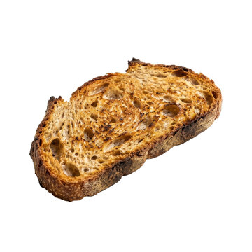 Toasted Sourdough Bread Slice