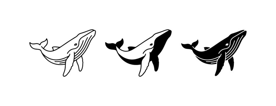 Whale Vector Icons, Marine Mammal Illustrations, Ocean Wildlife Graphics