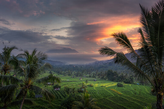 Aerial view of lush rice terraces nestled in a valley with palm trees and a misty mountain under a dramatic sunset sky in Sidemen, Bali, Indonesia.