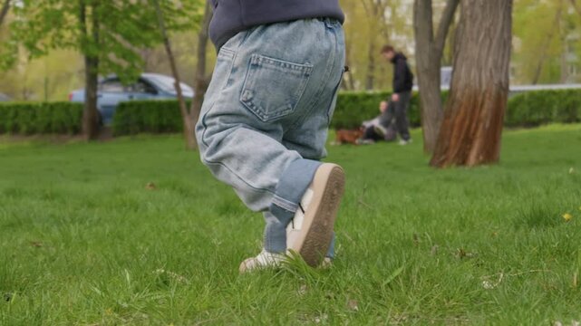 A small child wearing blue denim jeans and white sneakers takes tentative steps on a lush green lawn. An adult stands close by providing support as the toddler explores the outdoor park.