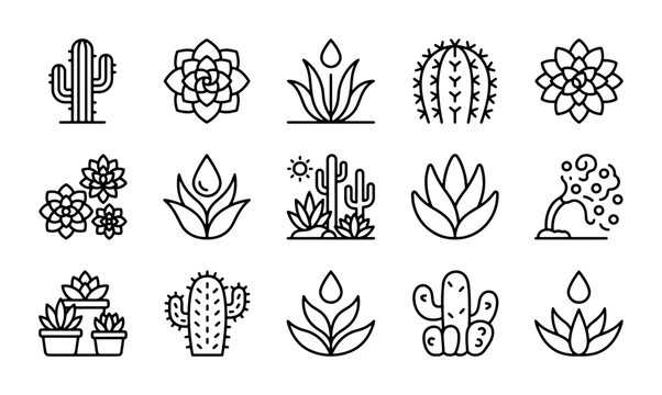Cactus Icon" Images  Browse 3,797 Stock Photos, Vectors, and Video | Adobe  Stock