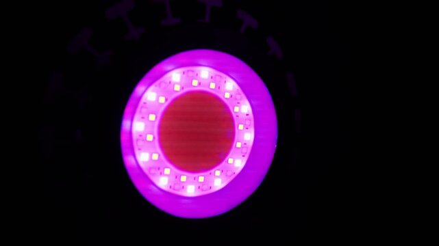 A circular LED light panel emits a bright violet and white glow. Diode chips are arranged in a ring. Dark surroundings contrast with the intense purple light source.