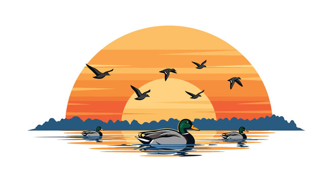 Mallard ducks swimming on calm lake at sunset with flying birds