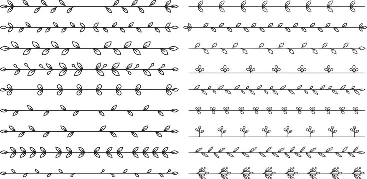 Botanical divider lines  collection, few basic leaves, doodle vine flower  different leaves and flowers, vector style art.