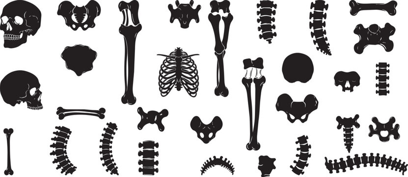Bones represented using faceted, polygonal shapes, black silhouette  collection, bones include long, straight bones, curved bones, vector art.