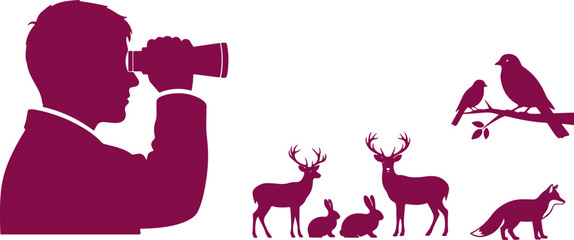 Fototapeta premium Hunter watching wildlife with binoculars bird deer rabbit fox silhouette nature outdoor observation binoculars man.