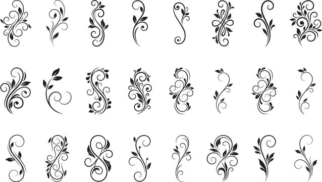 Floral swirl designs collection, various styles, decorative floral swirls, smooth curves, leaf shapes, vector art.