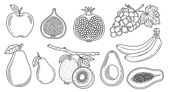 Detailed black and white line art collection of various tropical and temperate fruits including apple, pomegranate, and banana.