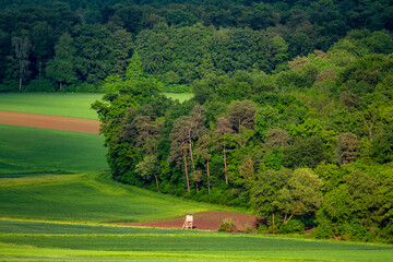 Fototapeta premium Hoch und Jägersitz am Waldrand