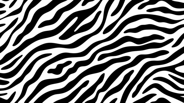 zebra stripes pattern seamless black and white animal print with organic shapes high quality professional detailed modern elegant