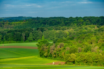 Hoch und Jägersitz am Waldrand © focus finder