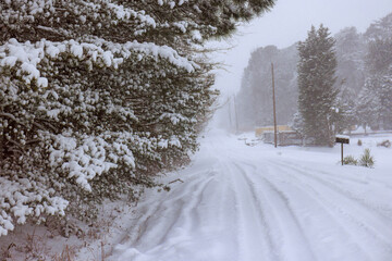 Fototapeta premium Snow covers quiet road in rural area during winter storm in early morning hours