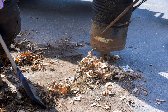 Workers collect leaves with vacuum machine at park in autumn, cleaning area to maintain landscape