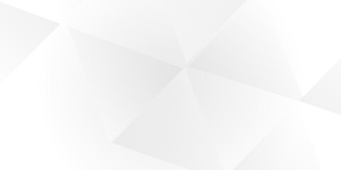 Obraz premium Abstract low poly surface background. Polygonal plane. white and grey landscape background with triangle decoration. Geometric pattern with light silver triangles. Geometric modern ornament. 