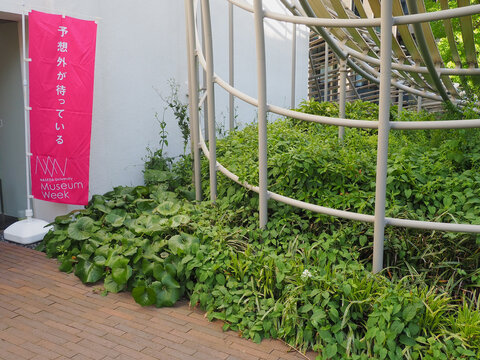 TOKYO, JAPAN - May 9 2026: Detail of the front of the Waseda International House of Literature (The Haruki Murakami Library) with a Waseda University Musen Week banner.