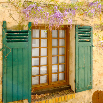 Green French shutters with purple wisteria in Saint-R&eacute;my-l&egrave;s-Chevreuse