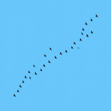 Flock of birds flying in formation against clear blue sky