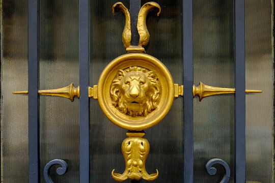Gold lion door ornament detail