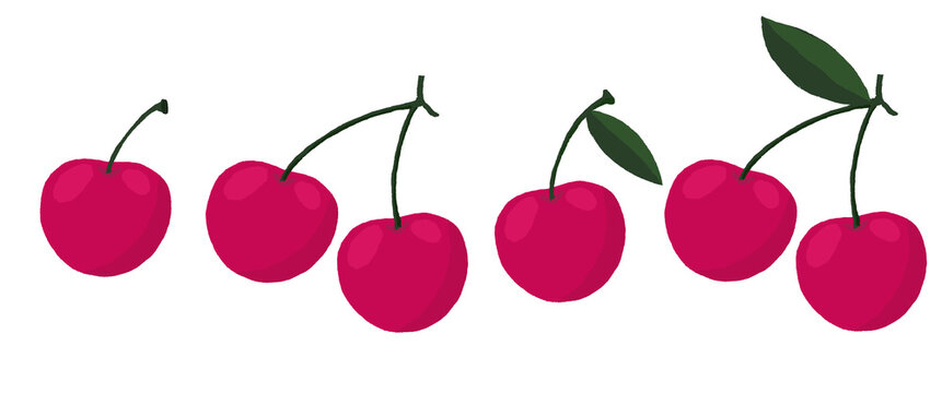 cherry on a white background