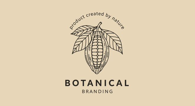 Botanical branding logo with cocoa pod and leaves