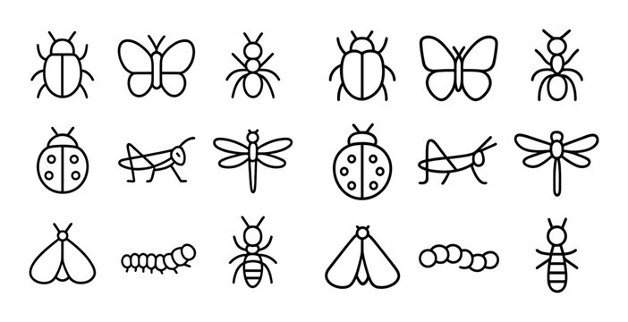 Insect outline icons arranged in grid on white background