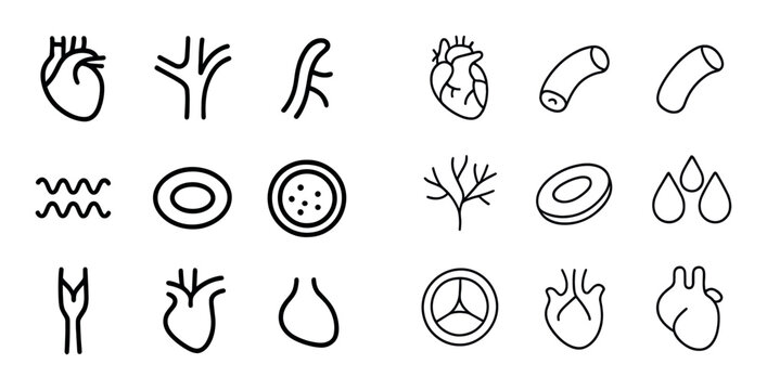 Cardiovascular icons showing heart vessels blood elements on white background