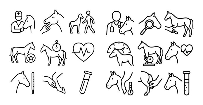 Horse care and veterinary icons showing treatments and tests