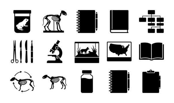 Science and Education Icons: Biology, Anatomy, Research, Learning, Laboratory Equipment