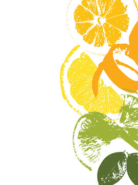 Citrus Fruit Side Border - Left Aligned Lemon Lime Orange for Menu Design, Summer Poster Design.