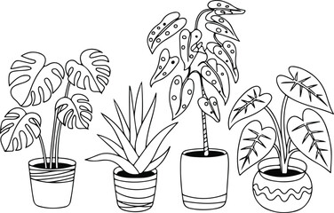 Horizontal Potted Houseplant Line Art Vector Setn Monstera, Aloe Vera, Philodendron, and Alocasia Arrangement © MSTRANI
