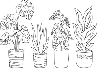 Horizontal Potted Houseplant Line Art Vector Set Monstera, Aloe Vera, Philodendron, and Alocasia Arrangement © MSTRANI