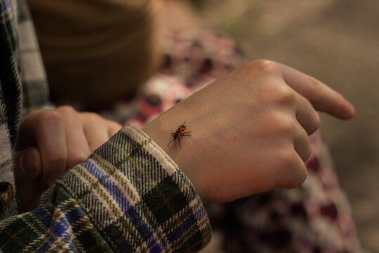 Firebug insect crawling on a child's hand outdoors