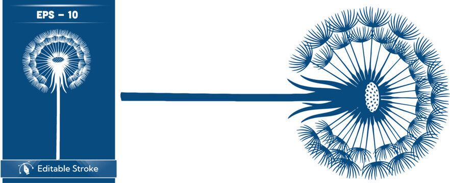 Blue and white illustration of a jellyfish with a long stinger