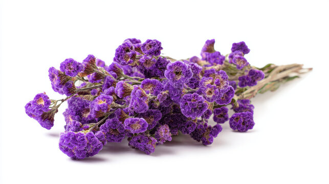 dried purple statice flowers everlasting decorative arrangement
