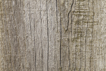 Fototapeta premium Close-up of weathered wooden surface displaying natural grain patterns and textures, highlighting the rustic charm of aged timber in a neutral color palette