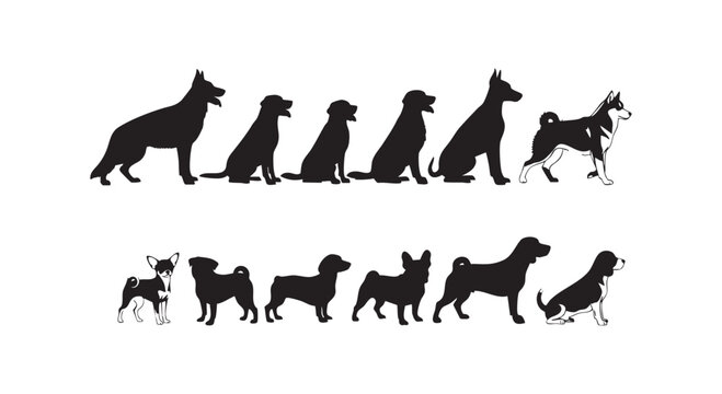 Set of various dog breeds in different poses isolated on white background for veterinary pet care and animal design collection.