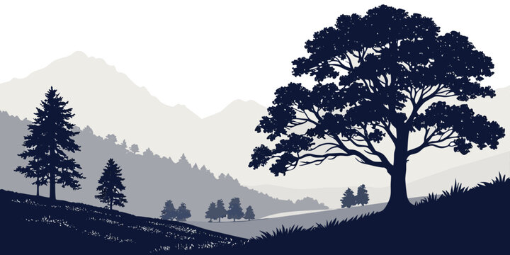 Silhouetted spreading oak tree on hillside with distant mountain ranges tree silhouette nature reserve rolling hills mountains landscape hillside wilderness