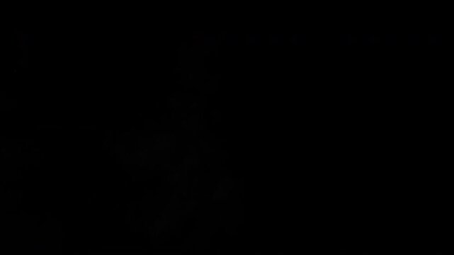 Wide Gun Smoke Cloud Drift on Black Background Animation
