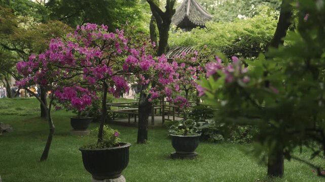 Quiet pathway in a classical Chinese garden in Suzhou
