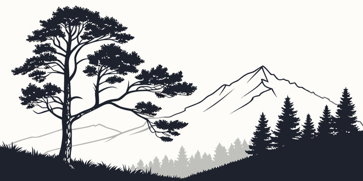 Detailed monochrome mountain range graphic illustration with large gnarly pine tree and distant forest silhouette hand drawn mountain landscape silhouette wilderness