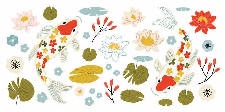 Koi fish and lotus flowers colorful vector illustration on white background