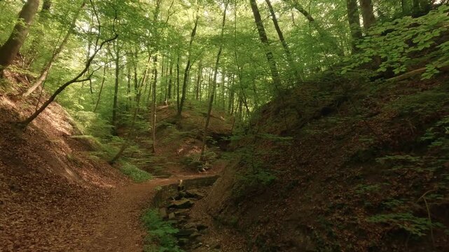 Deep within a forest gorge&mdash;atmospheric, close to nature, and fairytale-like